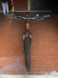 Bicicletta CROW