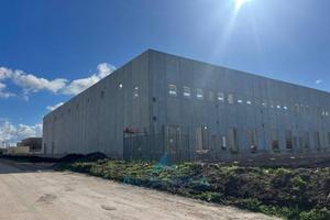 Immobile di 2850 m² a Pignataro Maggiore