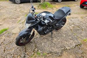 Honda Hornet 600 trattabile