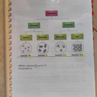 Appunti universitari stechiometria