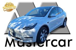 TESLA Model Y Model Y 2021 Long Range Dual Motor