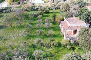 Indipendente con agibilità e 6000 mq di giardino