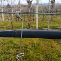 molla ferma tralcio inox 