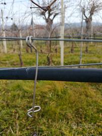 molla ferma tralcio inox 