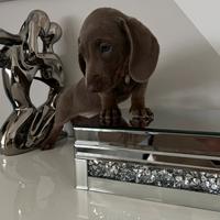 RONNY, bassotto nano Isabella