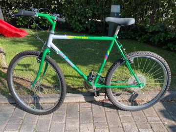 Bici mountain bike MTB