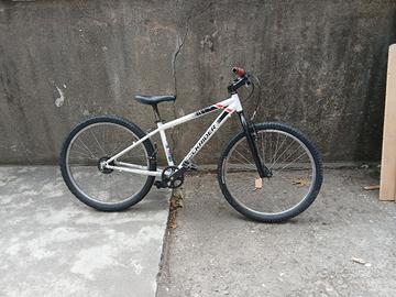 bicicletta
