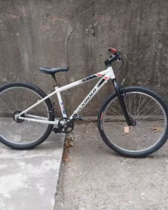 bicicletta