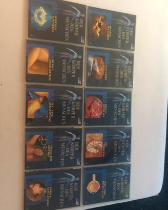 Set DVD
