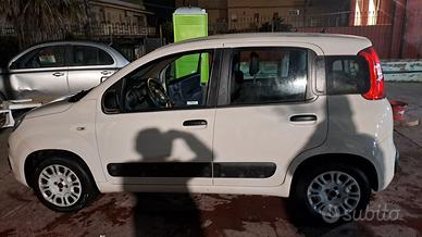 Fiat Panda 1.2 Unicoproprietario Neopatentati