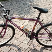 Bicicletta Bottecchia Boss 883 R