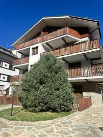 Appartamento di 31 m² con 1 locale a Bardonecchia