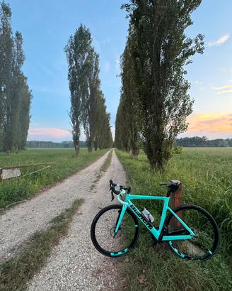 Bianchi Aria Disc tg 55