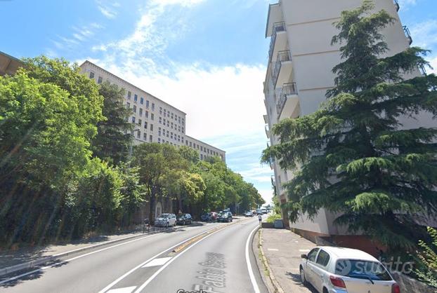 Ampio quadrilocale in zona universita' di Trieste