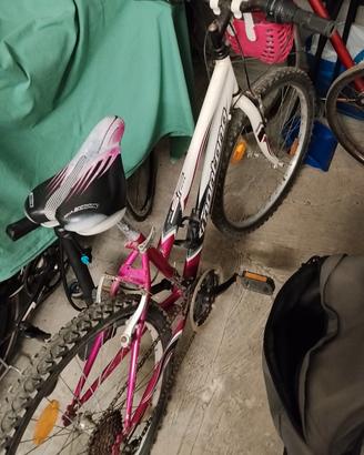 mtb da bambino
