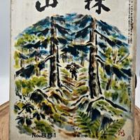 Rivista Arte Natura Fotografia Paesaggio Giappone