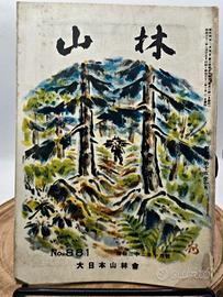 Rivista Arte Natura Fotografia Paesaggio Giappone