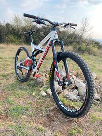 Specialized enduro, downhill