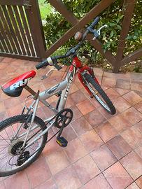 Bicicletta per bambino