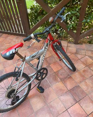 Bicicletta per bambino