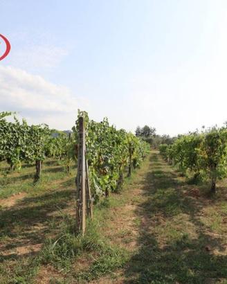 Terreno di 30000 m² a Montevarchi
