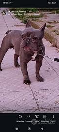 Disponibili per monte