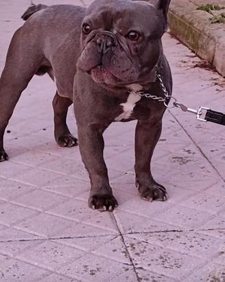 Disponibili per monte