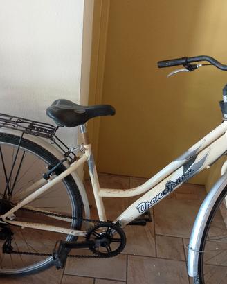 bicicletta 