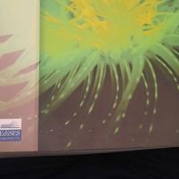 BIOLOGIA TESTO UNIVERSITA'