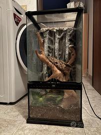 Terrario ExoTerra 60x30 Ideale per Gechi Arboricol