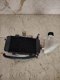 radiatore e vaschetta zip mk1 