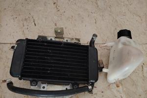 radiatore e vaschetta zip mk1 