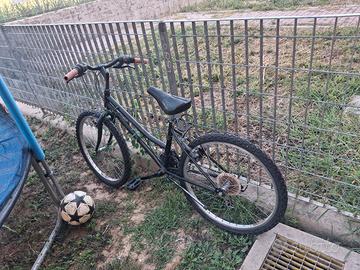 bicicletta