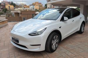 Tesla Model Y Long Range Dual Motor awd