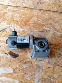 Motoriduttore cc Motor Power Company