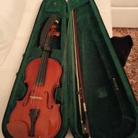 Violino professionale