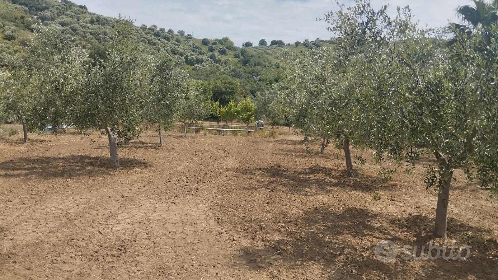 Terreno edificabile in zona Dragonara - Vista 3