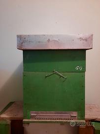 Arnie cubo, melari e materiale per apicoltura