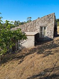 Terreno con rustico ad Ittiri