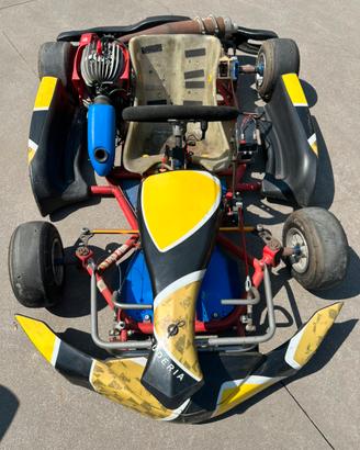 Go kart