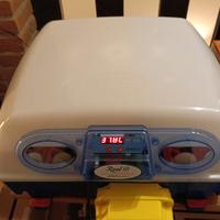 Incubatrici Borotto 24 e 49 uova automatiche