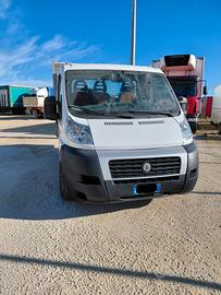 FIAT DUCATO CASSONE