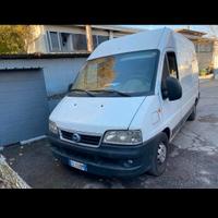 Fiat ducato a passo alto con scaffalatura