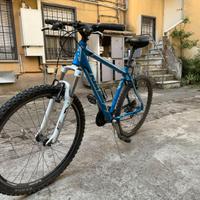 bici mountain bike MTB KTM Chicago