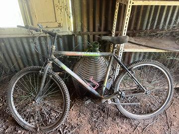 Bicicletta