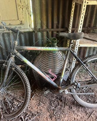 Bicicletta