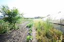terreno-agricolo-nocera-inferiore