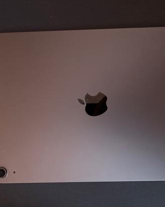 IPAD AIR  5 generazione