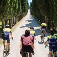 Tour in bici nel chianti con pranzo in vigna