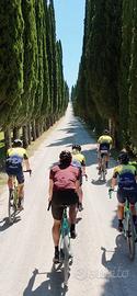 Tour in bici nel chianti con pranzo in vigna